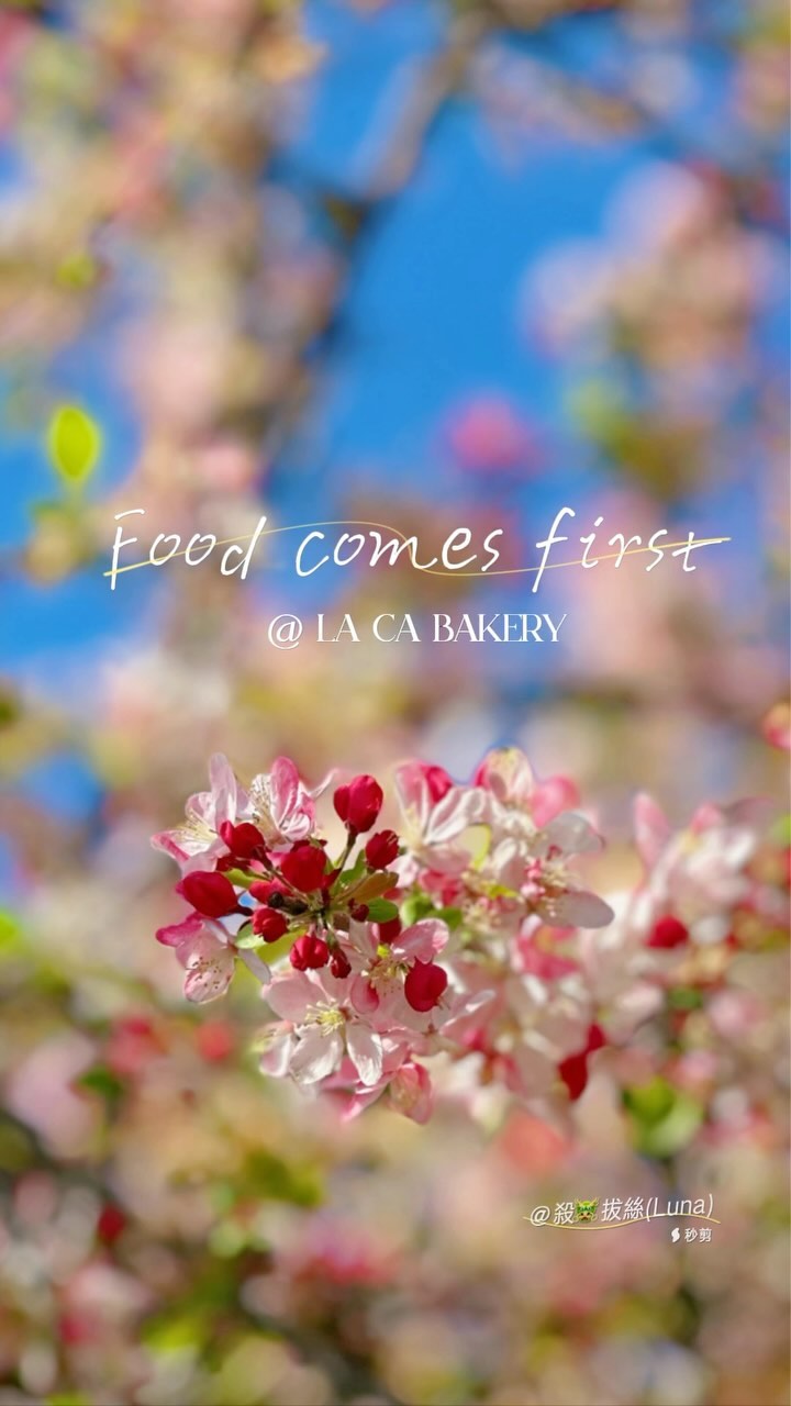 Eyes eats first. Squirrels approved feast. @laca.cafe Hayward