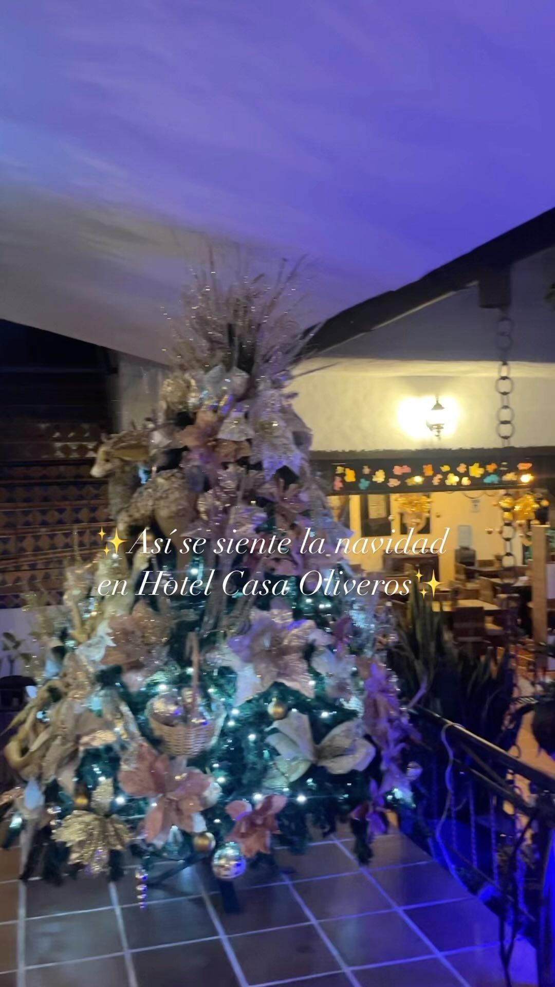 Sumérgete en la magia navideña en Hotel Casa Oliveros 🎄 Únete a nosotros para una experiencia única ❤️
.
.
.
.
#navidad #vacaciones #huilacolombia #magianavideña