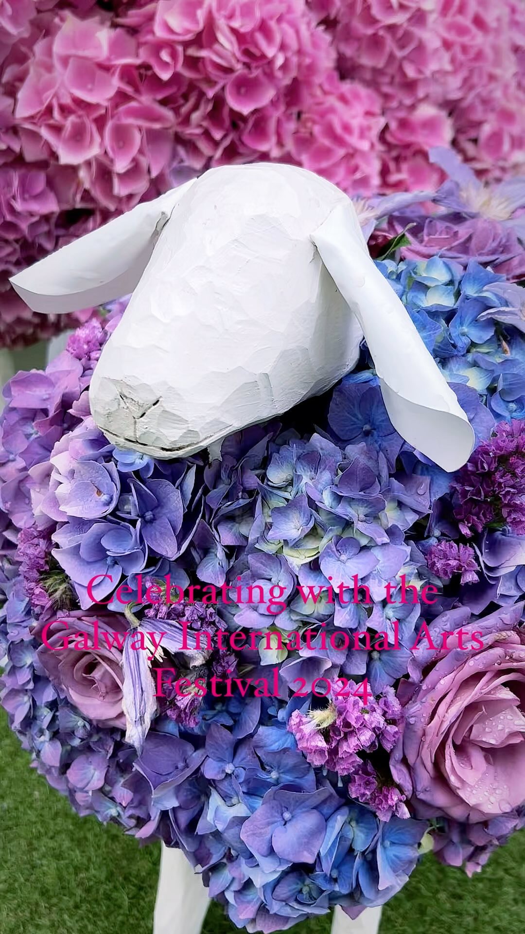 @yes_flowers @thesheepgalway celebrating Galway’s @galwayintarts