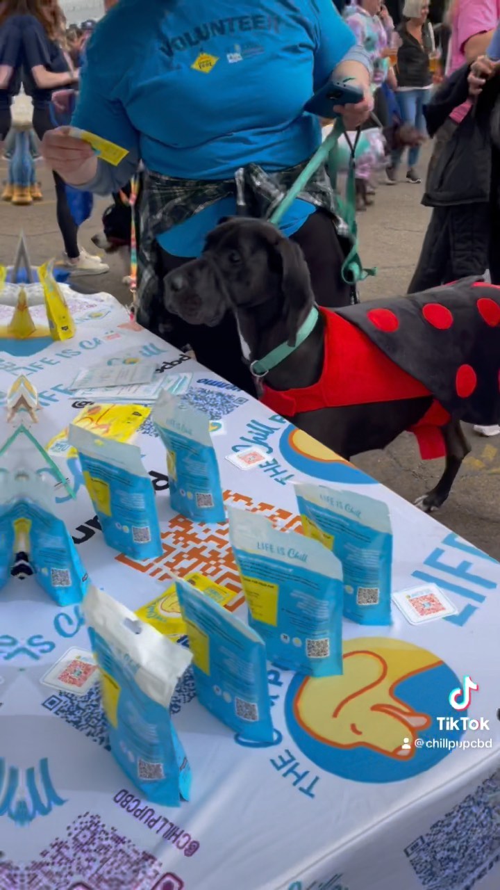 @harpoonbrewery @mspca.angell @tdbank_us @reddogpetresort @chewy what an honor it was to be apart of this amazing event! We were able to spread awareness through education to the many benefits CBD offers. It’s a blessing for humans and fur babies alike. We look forward to future collaborations and are grateful for the opportunity to do so! @jbsindoordogpark @zyprun @zoebys_custom_creations @chewy @chillpupcbd @lucky_thechillpup @tsrealestatepro @marines @nardotrealtor
.
.
.
#oktoberfest #october #harpoonbrewery #seaportboston #boston #massachusetts #collaboration #cbd #calm #chill #relax #thechillpup #cool #knowledgeispower #awareness #is #key #🔐