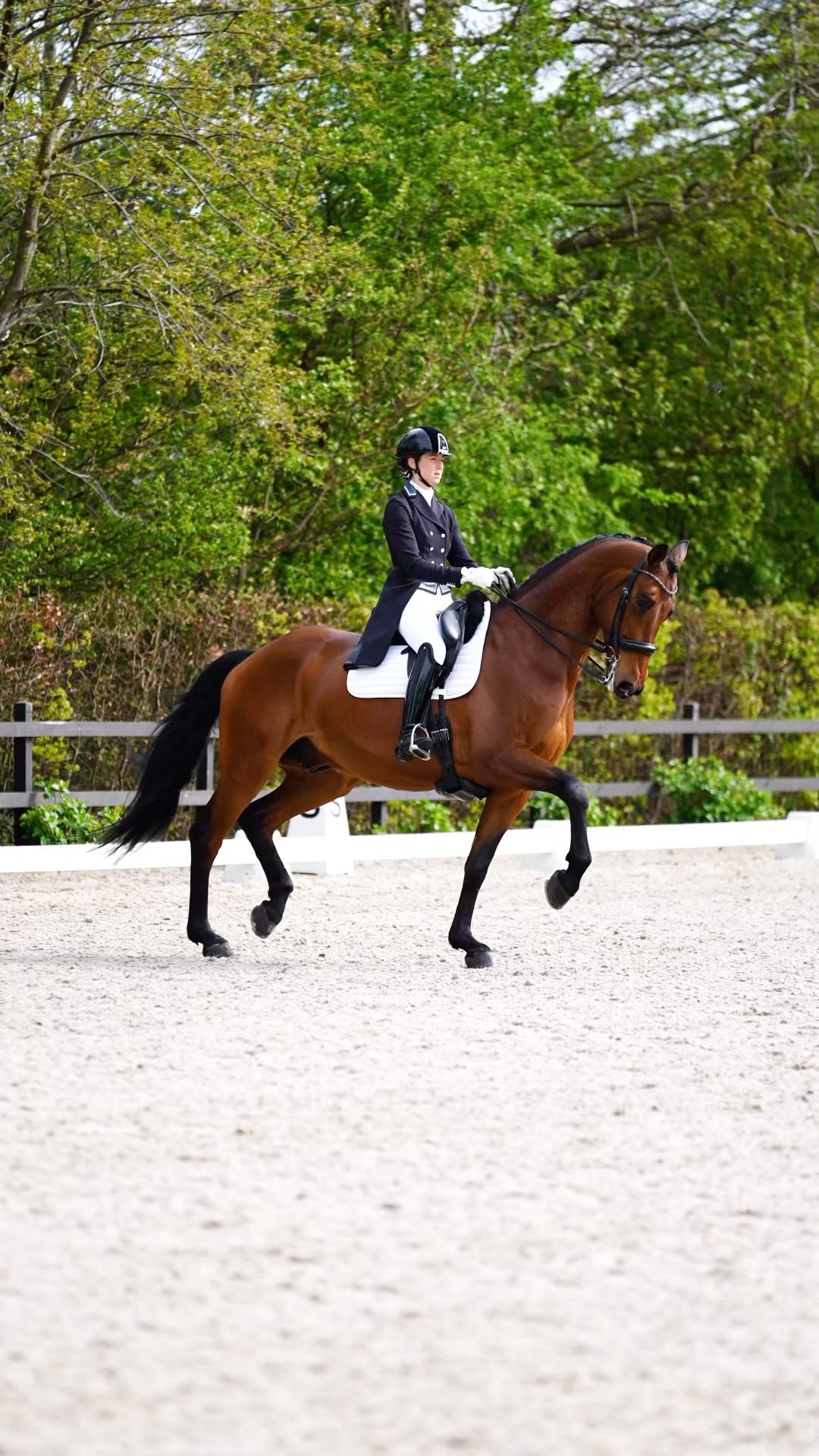 CDIY Tolbert✨
Our first international competition together🤩 Still some things to work on but we learned a lot last week. I’m so proud of the progress Henderson has made in such a short time.💗💗
Thanks! @lizaartamonovaphotography for the beautiful reel❤️
@linda_dick_vanwoudenberg
@pensionstal_scheepers