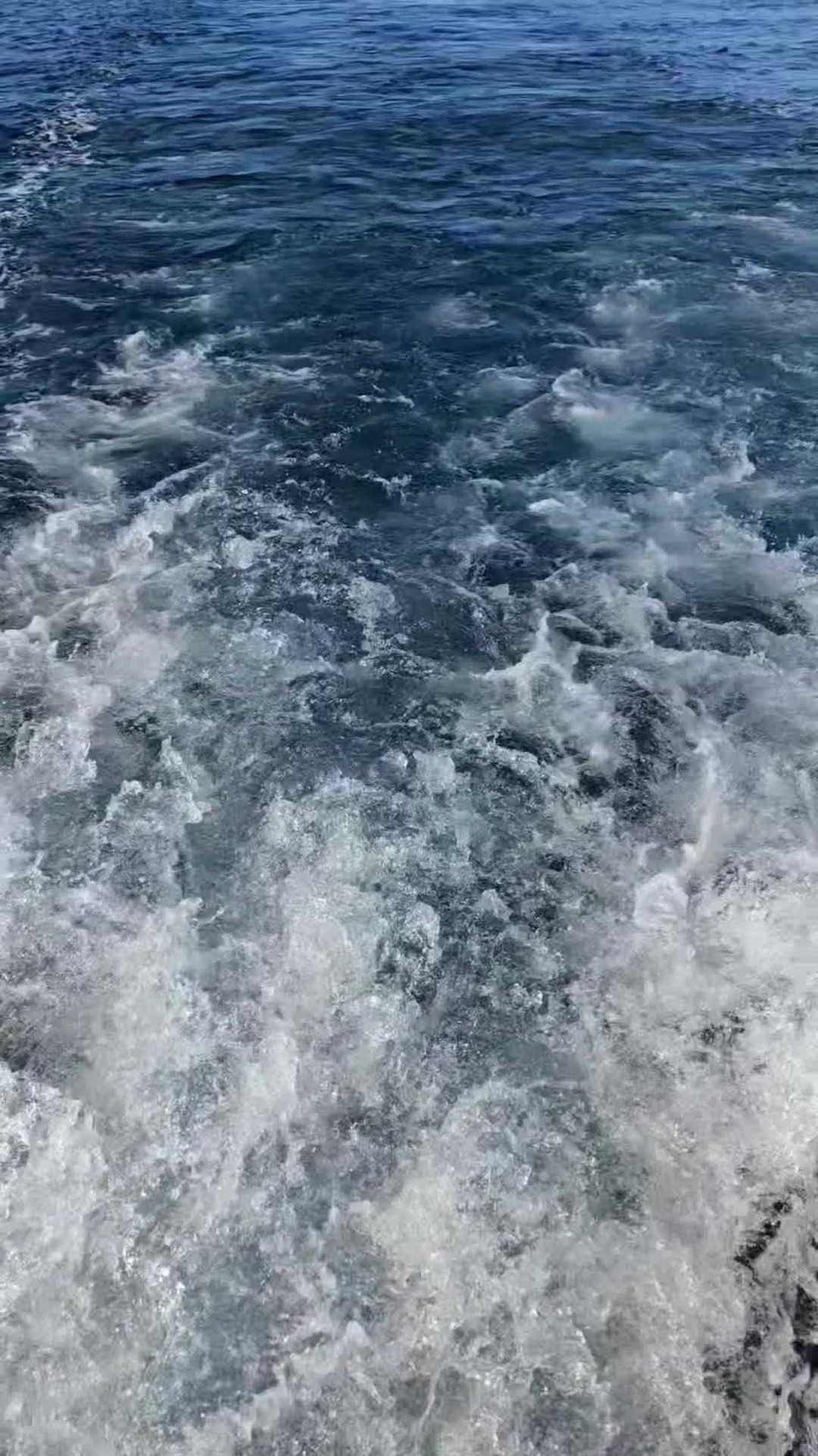 The ocean transforms wine, discover the difference with Escaramujo Wines! 🌊🍷 Perfect for any occasion.
.
.
.
#UnderwaterWine #EscaramujoWines #TastesBetter #WineTasting #SeaAgedWine #EsteponaWine #ElMejorRegalo #VinoSubmarino #ExperienciaÚnica #VinoExclusivo #Málaga #spainwines