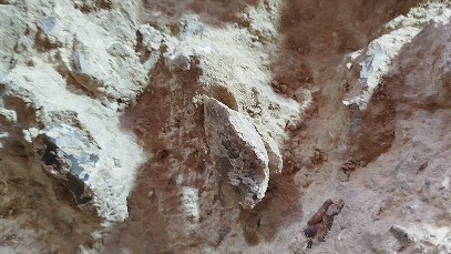 From yesterday 💥 removal of two Levallois cores 🖤
#lithics
#prehistory
#paleolithic
#excavation