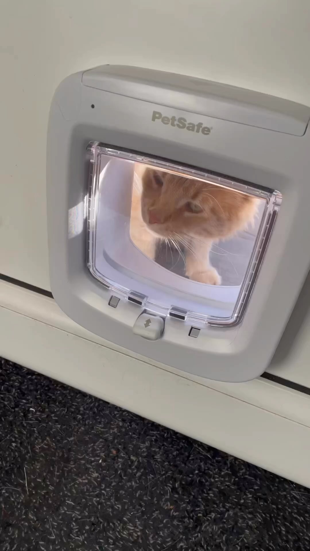 🤭🤭🤭
#microchip #microchipcatflap #cat #catlover #petlovers #petdoors #catlife #cats_of_world #cats #catflap #catflaps #dogflap #dogflaps #london #londonlife #north #south #west #northwest #northlondon #southlondon #eastlondon #westlondon