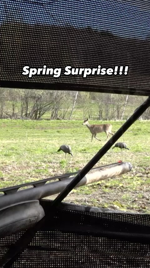 Altan Panoramic Blind