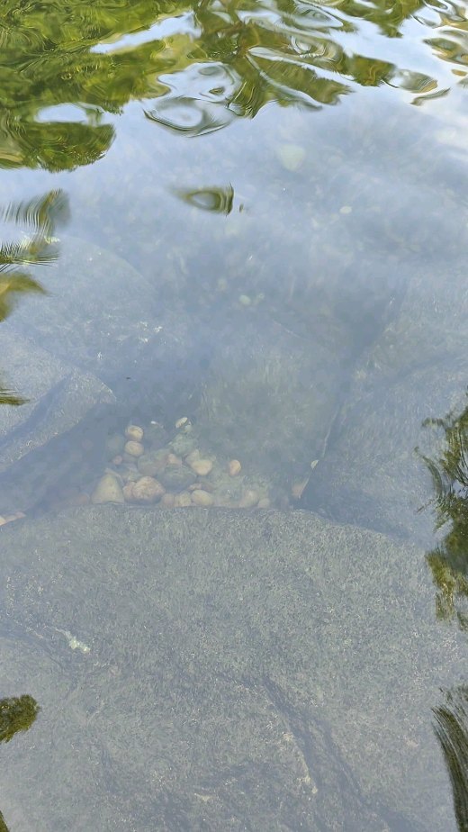 Chemical free swimming pond / recreational pond ready ....