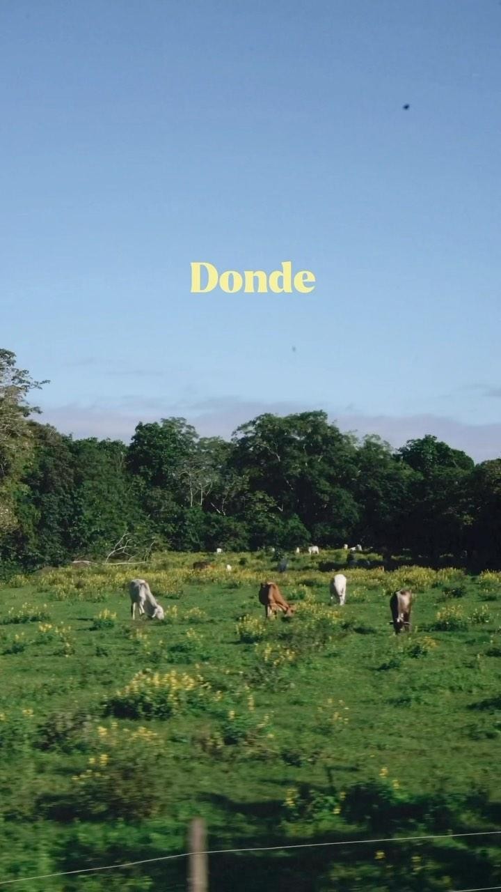 Sometimes being far away can be a good thing.
We are quickly filling up for our high season at La Finca. Send us a DM or visit our webpage at lafincacambutal.com to check for availability.