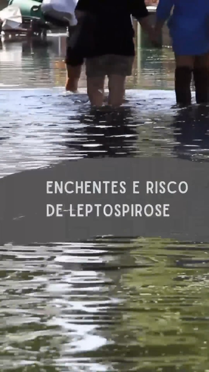 A enchente traz sérios riscos à saúde por conta da contaminação de tudo que é atingido pela água.
Uma das doenças que aparecem em enchentes é a leptospirose.
A leptospira é uma bactéria que tem os ratos, entre outros animais, como hospedeiros que eliminam a bactéria através da urina.
Em enchentes, as pessoas ficam mais sujeitas ao contato com a bactéria, porque a água do esgoto se mistura com a da chuva.
A contaminação acontece pelo contato com a pele.
Na fase inicial, entre os sintomas estão febre alta, náusea e enjoo, dor muscular (principalmente na panturrilha) e icterícia.
Na fase mais grave, a pessoa apresenta hemorragia e insuficiência renal. O tratamento é feito com antibiótico.
Em caso de suspeita, procure atendimento médico!
Não deixe de doar para ajudar as vitimas da enchente no RS
paraquemdoar.com.br