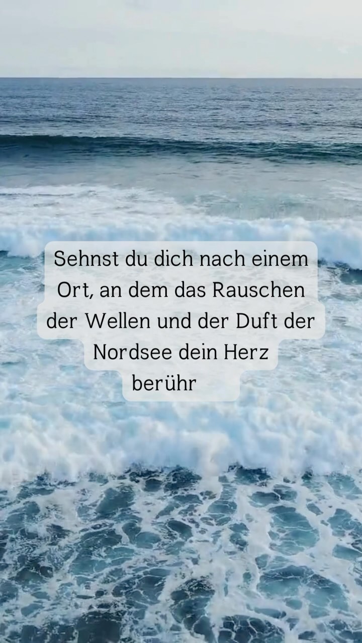 Egal ob Sommerurlaub oder nicht, egal ob Balkonien oder Fernreise - Das Lied der Finken ist in jeder Situation eine schöne Ablenkung :)
#roman #stpeterording #nordsee #romantik #strand #buch #liebesroman #urlaubsroman #nordseeküste #moin #lesen #bookstagramgermany #ferien #ferienlektüre