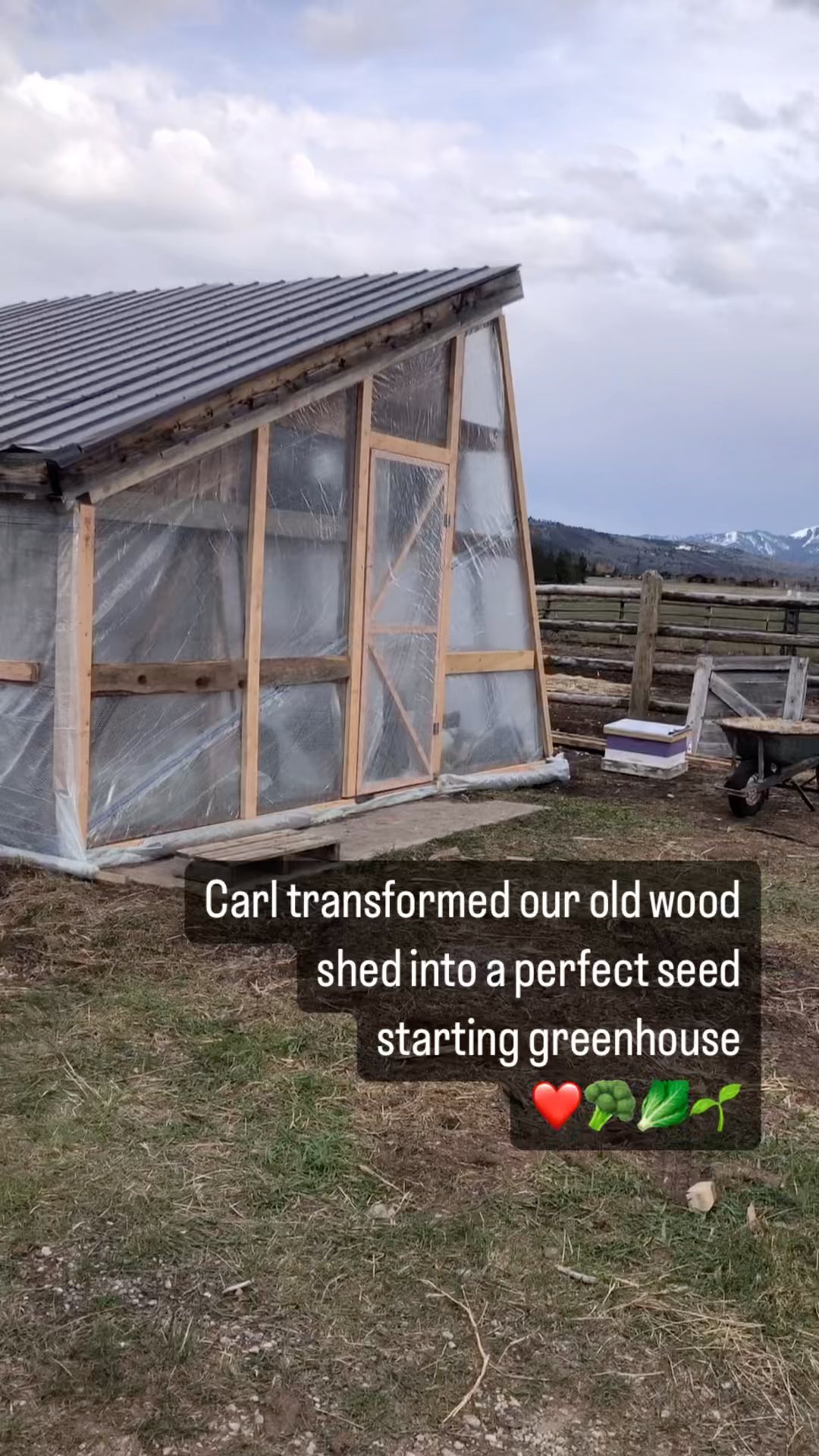 Carl expertly crafted a seed starting greenhouse from the old massive wood shed that wasnt serving us. He was able to use a lot of materials we already had at the farm, too. Can’t wait to get in there and organize my seeds, get those babies sprouting!
SustainableAgriculture #SupportLocalFarmers #CommunitySupported #SustainableFarming #FarmLife #NaturalLiving #PasturedMeat #GrassFed #EthicalFarming #RegenerativeAgriculture #SmallFarms #HealthySoil #CommunitySupportedAgriculture #SustainableHarvest
#Sustainability #LocallySourced #FreshProduce #EthicalFarming #GreenLiving #WomanOwned #FemaleFarmer #WomenInAg #bossbabe #womeninagriculture