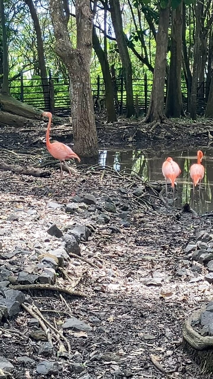 @cabanasmariamulata en Puerto Escondido - Córdoba - Colombia