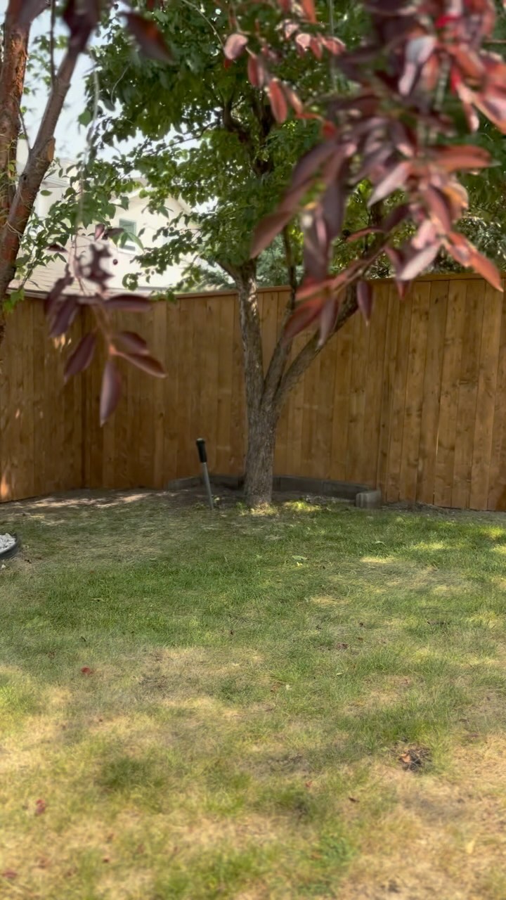 New fence!
Contact Dana Rolles at Greener Building
for your free quote today.
Phone: (403) 992-4208
Email: dana@greenerbuilding.ca
•
•
•
🇨🇦
#fence #lumber #landscaping
#renovations #construction #yycconstruction #yycrenovations #renos #design #photo #contracting #contractors #yyccontractors #supportlocal #smallbusiness #carpentry #carpenter #wood #woodworking #calgary #alberta #yyc #gc #greenerbuilding #smarterbuilding #dailygrind #selfemployed #frametofinish #yyclocal
