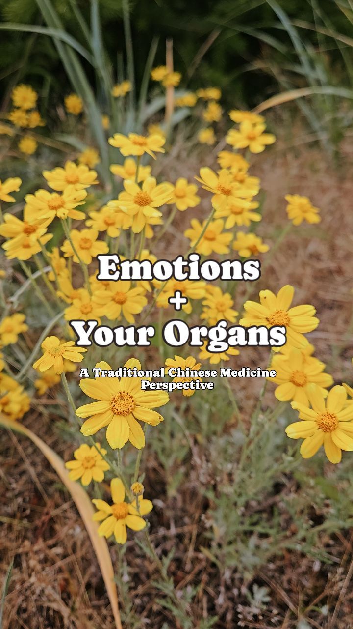 Emotions + The Organs, A TCM Perspective πΌ
Have you ever experienced an emotion and literally felt it in a certain place within your body? In TCM we aren't referring to the specific organs, rather the energy system that the organ rules within the body. Traditional Chinese Medicine holds that there are pathways (meridians) in the body within which energy runs and there are A LOT of them. This is what modalities such as acupuncture and acupressure are based off of. If you look at our networks of blood vessels, nerves, lymphatic pathways, and more, you'll find some interesting correspondences with the meridians. If we experiences blockages in the body, our energy (qi) cannot flow efficiently. We can harbor emotions for hours, days, or even decades and those pent-up emotions ultimately can contribute to physical symptoms and even dis-ease. What are you holding on to that needs to be release?
#tcm #emotionalhealing #emotionalbody #emotions #herbalism #lifeamongthewildflowers