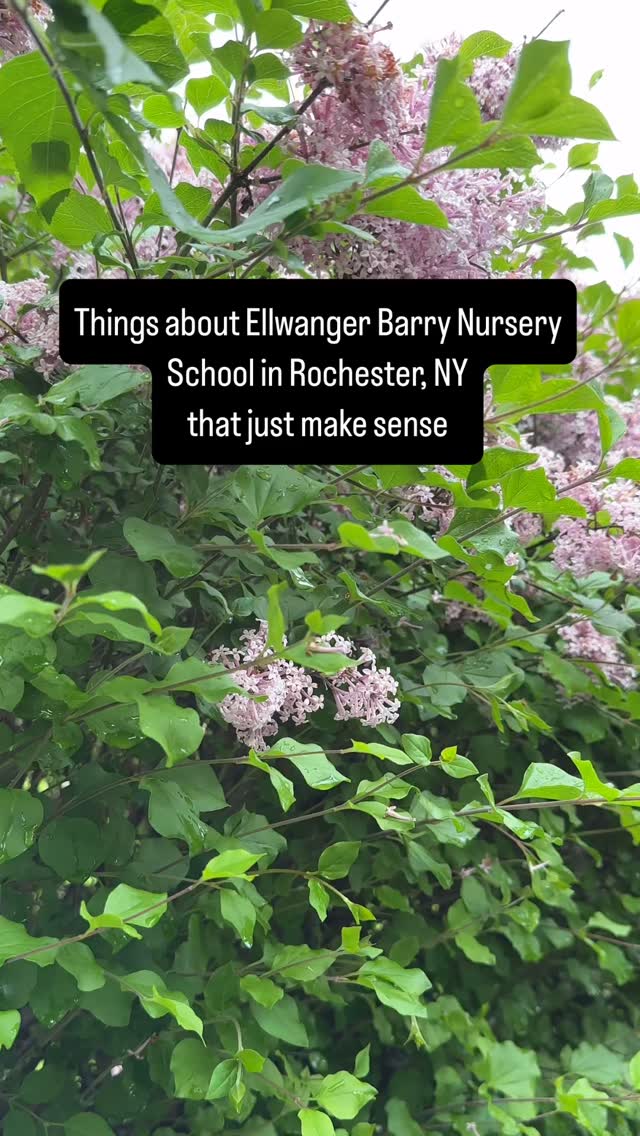 Ellwanger Barry Nursery School And KinderGarden in Rochester, NY is a pretty special place ✨Reach out for more info or visit ebns.org
🏷️ #ellwangerbarrynurseryschool #waldorfinspired #waldorf #waldorfeducation #naturebasedpreschool #naturebasedlearning #rochester #rochesterny #rochesternewyork