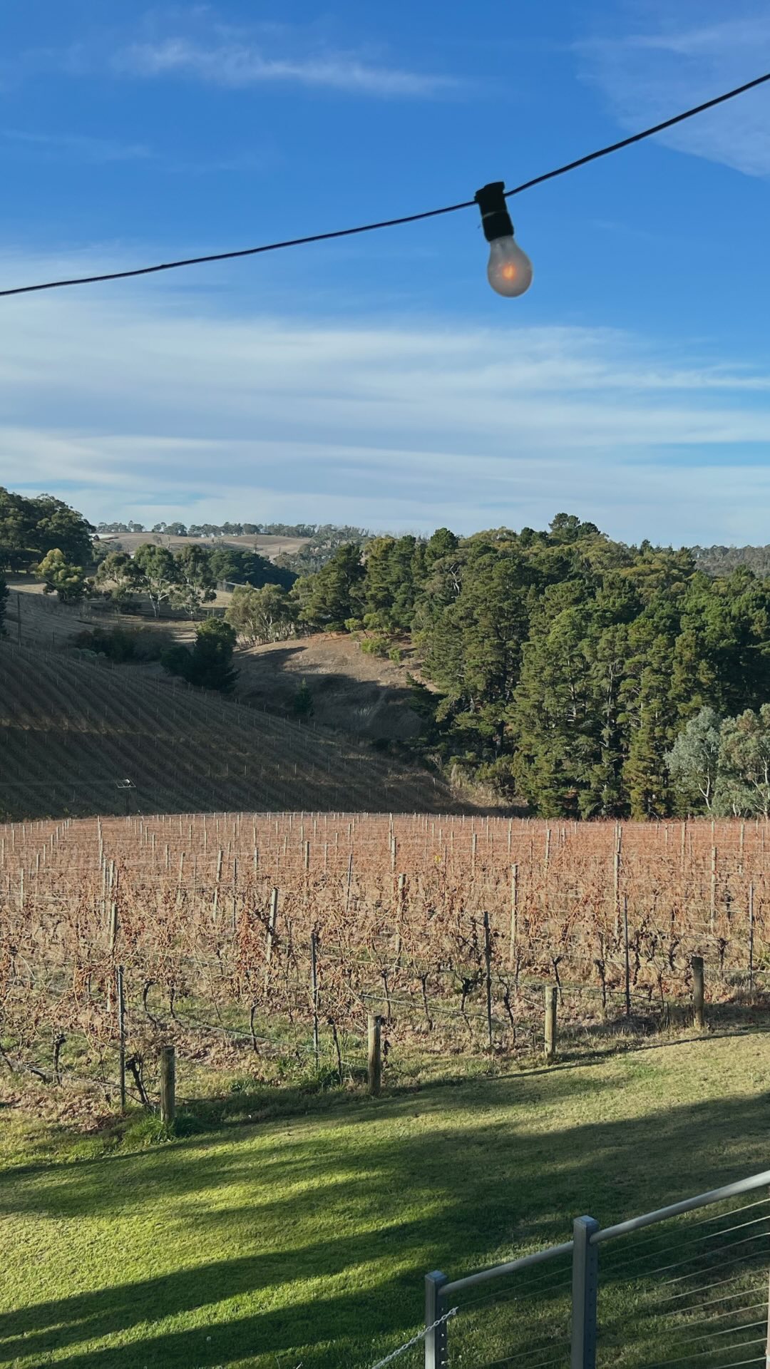 While we had our working break in Adelaide, we sipped, nibbled and devoured our way from the beach to the hills. And wow, there’s some delicious food and phenomenal wine 🍷
I barely cooked while we were away, and that was fine with me. I could get used to these working breaks.. 😆
A few places we visited were:
@cream_jrb
@seacliffbeachhotel
@alimentary_eatery
@brightonjettybakery
@bottegabandito
@mtloftyvineyard
@stanleybridgetavern
@uraidlahotel
@nidobarpasta
@melbaschocolates
@salopianinn
@parwana.kitchen
#workingbreak #workingholiday #travelwithkids #adelaide #adelaidefood #southaustralia