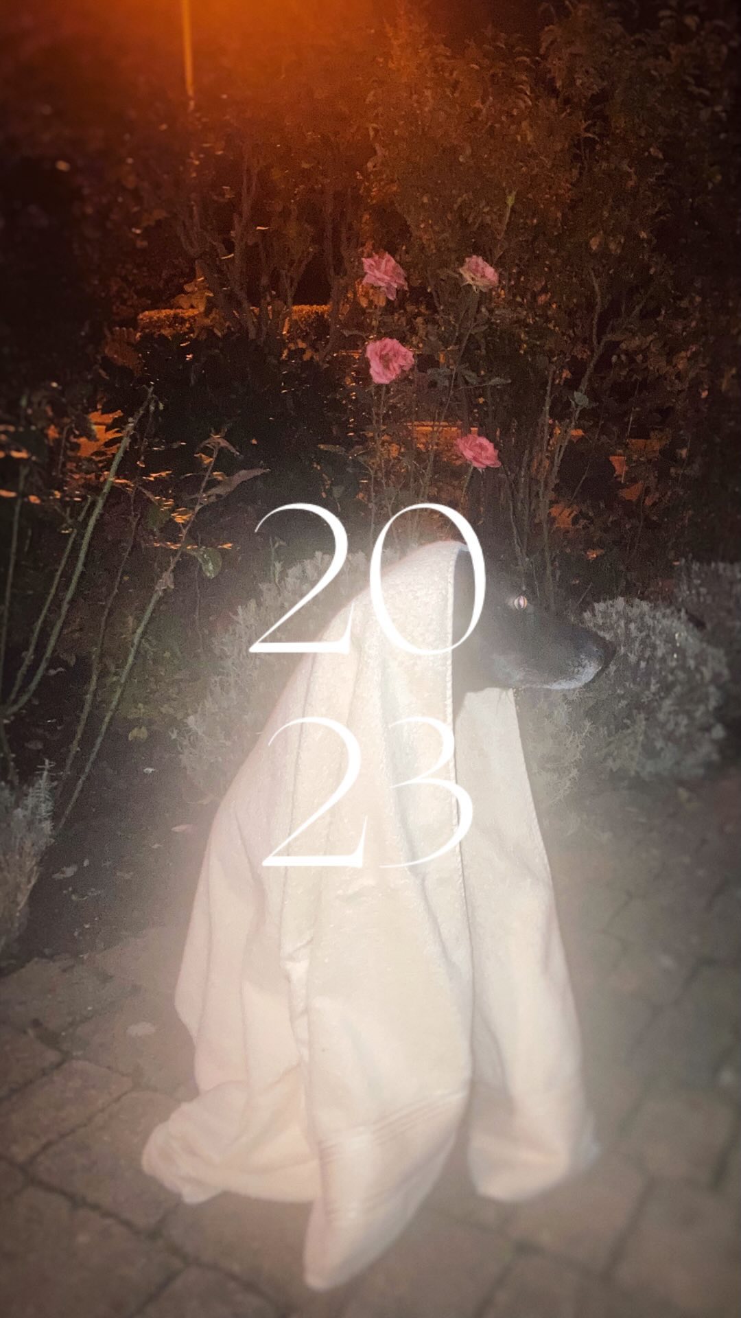 Was ein Jahr!
Tolle Menschen getroffen, Kredit aufgenommen und Erfahrungen gemacht, viel geschafft und jetzt kurz kaputt 🤍🤍🤍
Ein wunderbares 2024 wünsche ich euch allen!
.
.
.
@sarah.flowy
@artischocke_
@engelbertschmidtphotograph
@klingconsult
@julian_s1990
@mueller.elektro
@_tanjathumm_
@theoutfluencerin