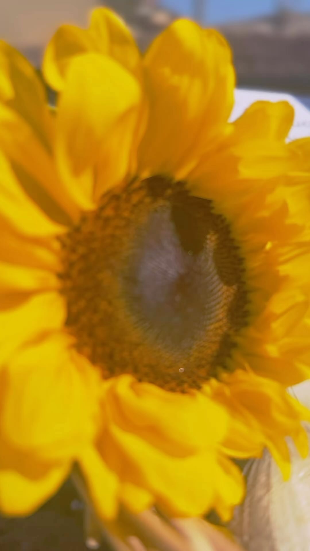 Palm Beach Picnics Toscana is now offering Welcome Gift Baskets!
Great for housewarming or any celebration these customizable baskets will mean much more with that extra personal touch for that special someone.
Email us to request a basket delivery filled with all the flavors of Tuscany!
info@palmbeachpicnics.com
#pbpicnics #picnic #picnicdate #picnictoscana #toscana #picnictuscany #picnicfirenze #picnicflorence #datenight #amore #tuscansun #underthetuscansun #pbpicnic #picnicsoftheworld
#tuscanproposal #tuscanwedding #travelblogger #florence #italy #italy_photolovers #travelcouples #date #florence #italy #luxurypicnic #luxurypicnics #picnicbasket #picnicblanket #picnicday #picnicfood