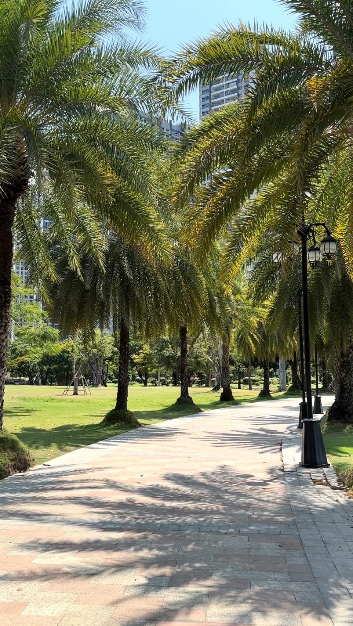 👉 1. Deep Trauma Release:
Letting go of deeply stored traumatic and stuck emotions. ->> Leading to significant emotional healing, stability and inner peace.
🌱 2. Emotional Resilience:
Greater emotional resilience by integrating difficult emotions more effectively.
🧠 3. Regulated Nervous System:
Balance of nervous system, which results in less internal agitation and more calmness and feeling of being safe.
☕️ 4. Reduction in Chronic Pain:
Due to emotional and physical tension release- bye bye pain ❤️🩹.
✨ 5. Strong Mind-Body Connection:
—>> leading to improved physical health and being very comfortable in the own body
🍀 6. Joy and Pleasure:
Due to releasing stored negative emotions —>> the capacity now, to receive all the joy and beauty.
💤 7. Better Sleep:
More regulated and calm nervous system = better and more effective sleep.
❤️🩹 8. Healthier Relationships:
More in tune with yourself, healthier boundary setting and communication.
🌌 9. Greater Self-Awareness:
Deeper understanding of own emotions, triggers, and bodily sensations. + understanding of other as well.
🍎 10. Improved Immune Function:
Due to less stress, more calmness, better sleep, ..
—>> the body has finally the capability now to be able to defend yourself more efficiently.
Did one of them surprise you the most?
I couldn’t even decide which one of these benefits is the best..
How amazing that we wouldn’t have to choose!!
❗️But it actually can all change with just one method by itself!!
Save for motivation for later ❣️
And like the post, so I know it was new for you 🌌
#somatichealing #someticexperiencing #bodytherapy #humangarage #nervoussystem #releaseemotions