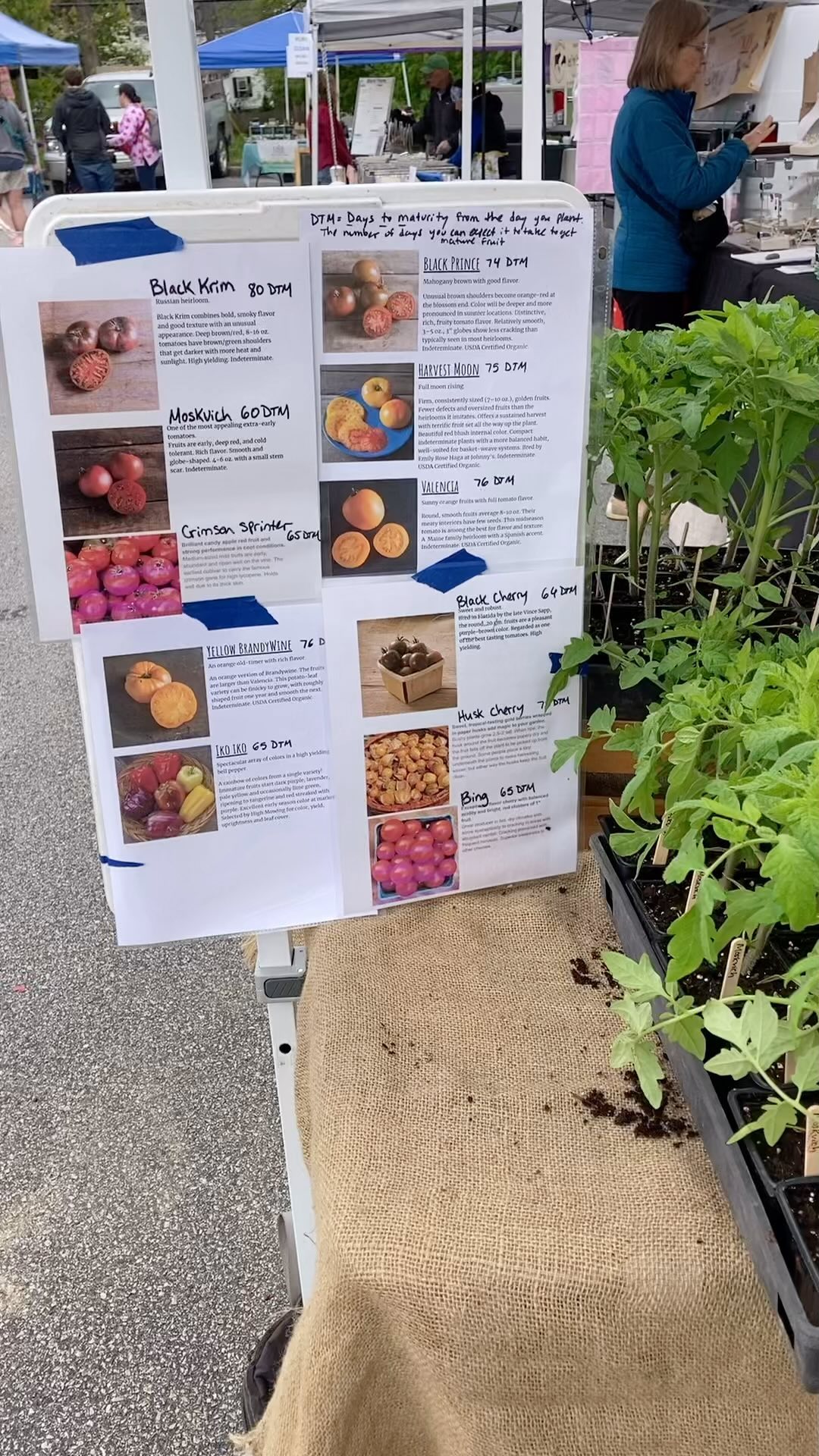 We are back at the Portsmouth Farmer’s market! It feels so good to be back and see so many familiar faces!
Here until 12pm today.