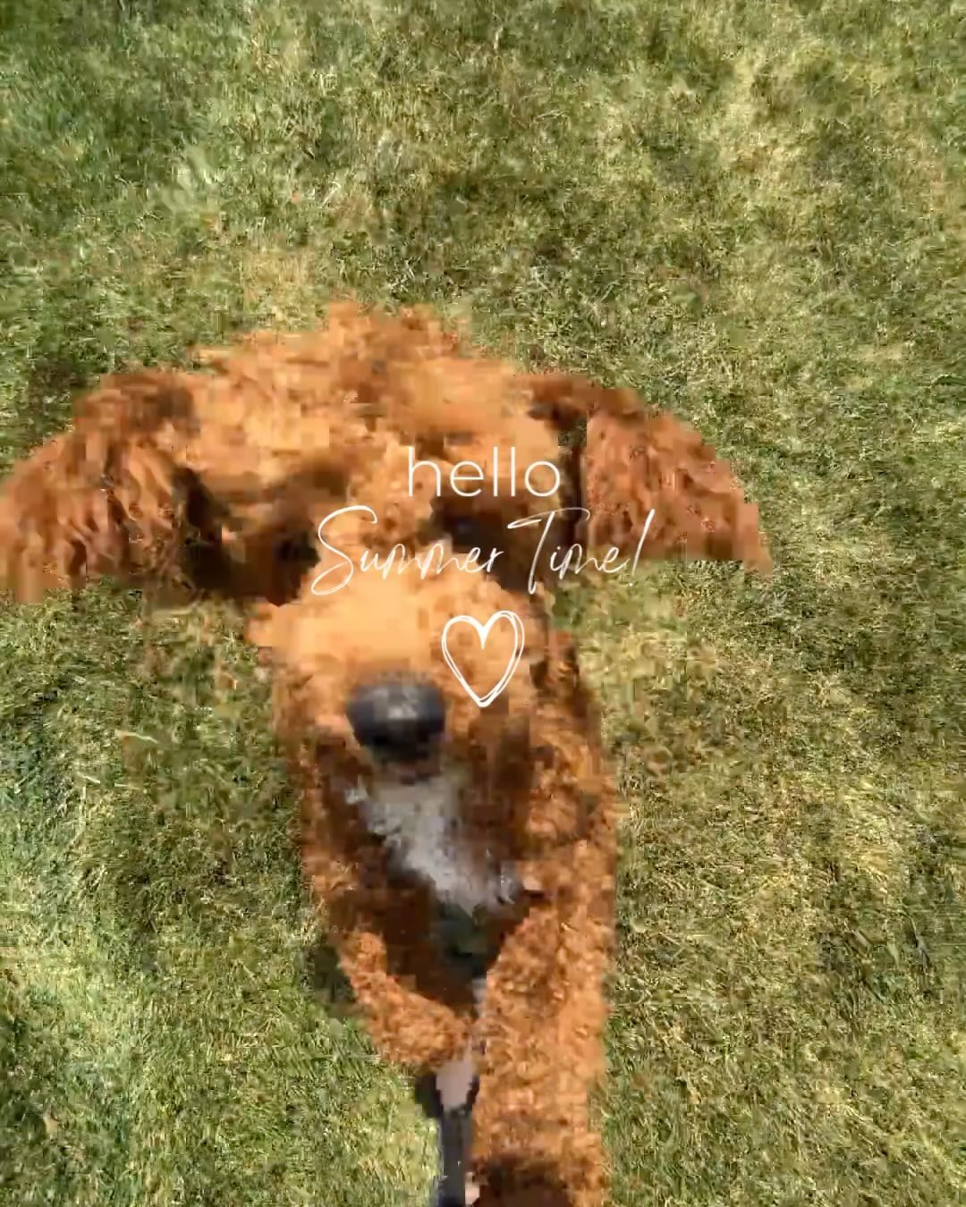 Pool Day to beat the heat!