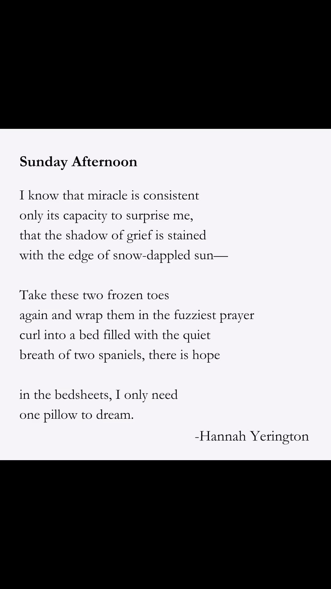 For 8 months, I cared for two spaniels, ushering one into the next realm while teaching the other about this realm. It was exhausting and bittersweet. But also, there were moments like this, the soft Sundays, when I had both my boys next to me on the couch, their gentle sleeping breaths. I live life of small miracles only because I’ve trained myself to find joy in the infinitesimal and the everyday, in the spaniel, and in the Sunday. 🕯️✨🕯️#sundaypoem #poem #garlicmoon #miracle #spaniel #cavalierkingcharlesspaniel