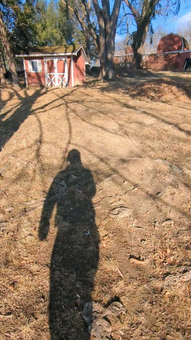 Maple tree removal #treeservice #treepruning #arboristsofinstagram #treeremoval #412