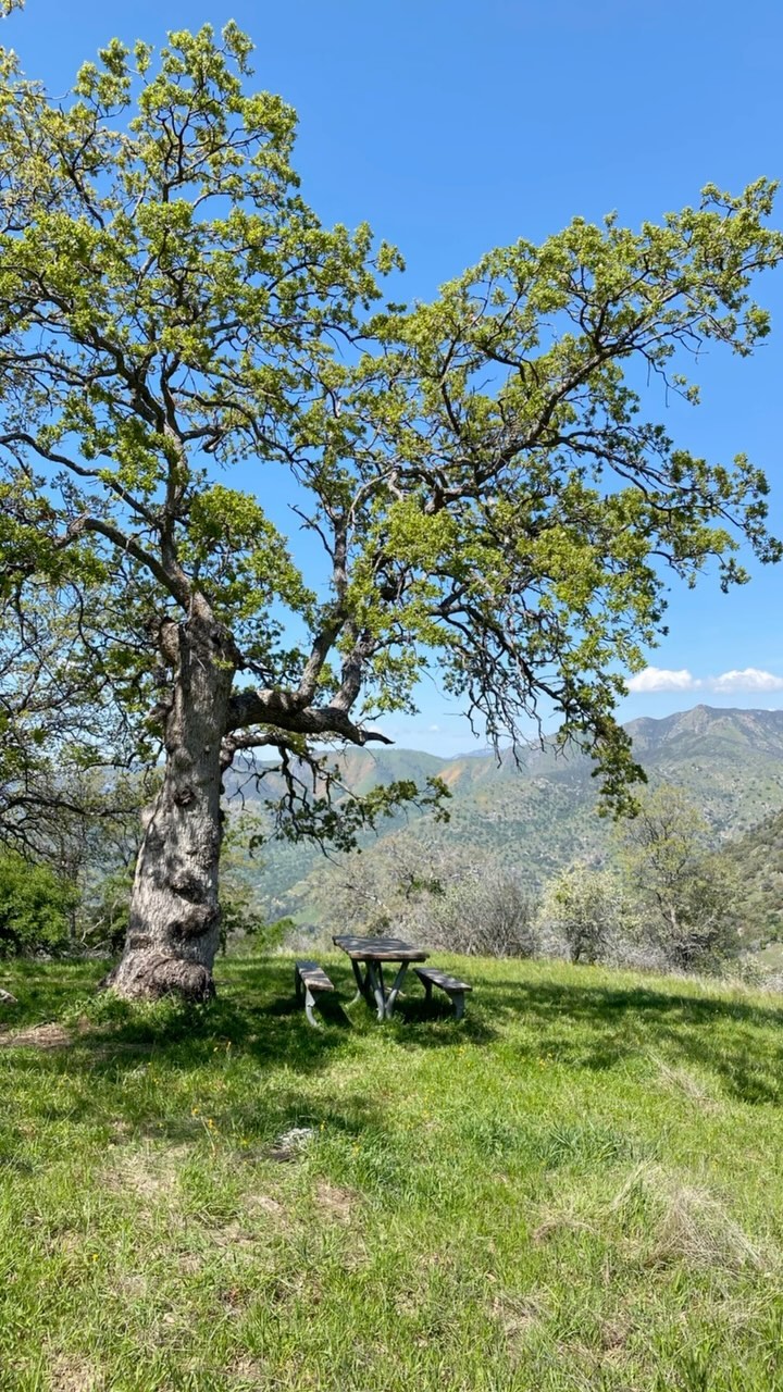 Celebrating the first Sunday after the first full moon (eclipse) after the spring equinox 🙌
#happyeaster #buckeyetreelodge #springbreak #sequoianationalpark #sequoia#kingscanyonnationalpark #threeriversca #hike #findyourpark #optoutside #onepercentfortheplanet #ecolodge #ecotourism #mountainlodge #sustainabletravel #yogaretreat #yogastudio #wellness #visitseki #nationalparks