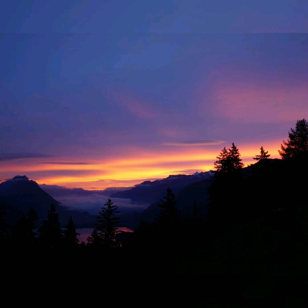 01.10.2022: "Morgenrot, Schlechtwetterbot"
Okkludierendes Frontensystem im Annmarsch. #morgenrot #nebel #westwind #okklusion #herbstwetter #zeitraffer #aeschiried