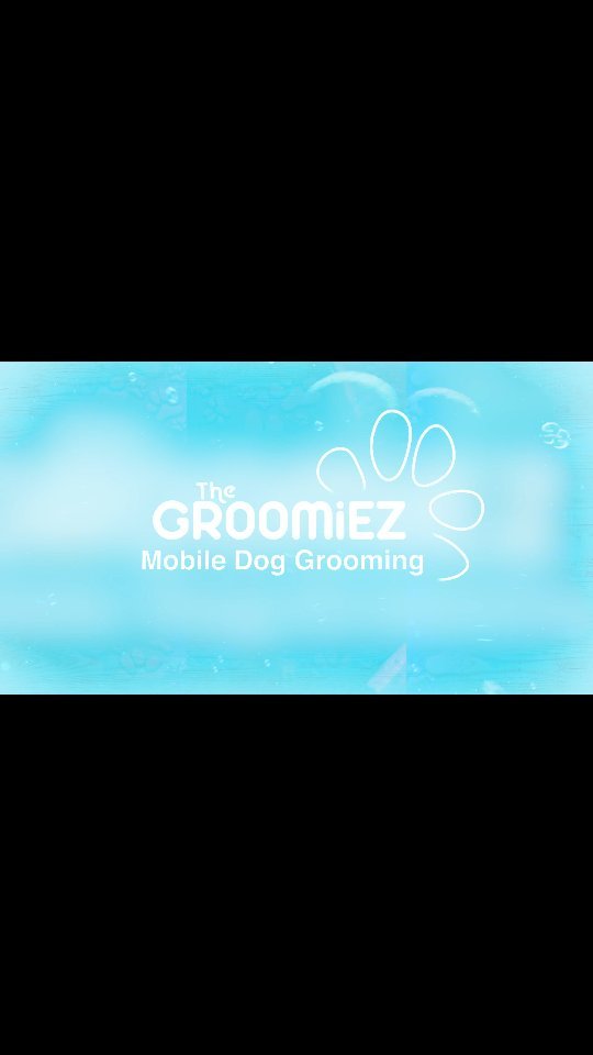 Harley after her nice spa day 🐶
#thegroomiez