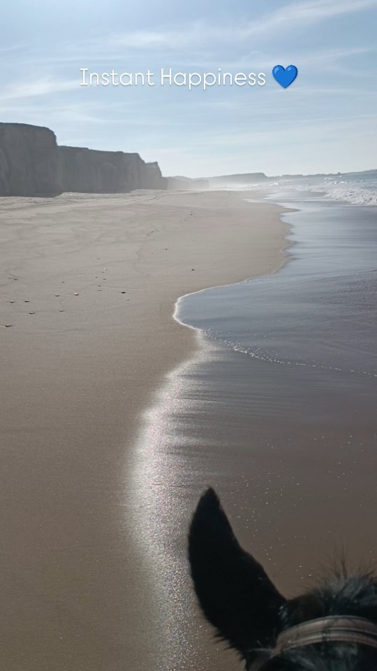 The one thing I wish I'd have done more this summer is to enjoy the beach together with my horses. I've taken Galeón to the beach only 4 times in the last months but next year we'll be enjoying this paradise that we call home more 🩵.