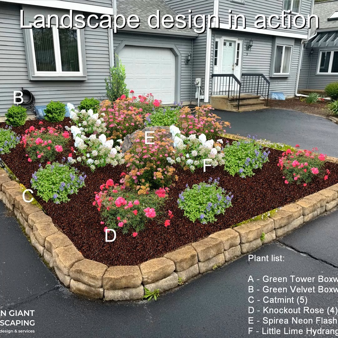 Landscape design in action.
Landscaping Southeastern, MA.
Call now for your free quote!
Plants installation
Tree and shrub care
Seasonal cleanups
Bobcat services
Old overgrown shrubs removal
Mulch installation
Garden maintenance
Professional Landscape Design.
https://www.greengiantlandscaping.com/
Phone:
+1 413-406-9094
#landscaping #landscapedesign #gardening #gardendesign #landscaper #landscapearchitecture #treeandshrubtrimming #mulch #Massachusetts #southshore #newton #boston #hingham #marshfield #scituate #NewtonMA #scituatema #milton #canton #wellesleyma #SpringCleaning #shrubtrimming #shrubcare #plantingseason #plantingtrees #plantingdesign #gardentransformation