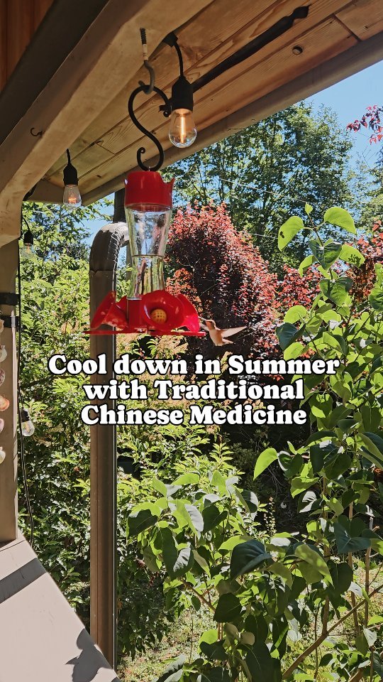 Balance out the heat of summer using Traditional Chinese Medicine πΏπ₯΅
Whewwwww! With this heatwave hitting many of us here in Canada, I thought I'd share some food-related TCM tips to help keep you at least a little cooler!
The one thing I forgot to add is: food that is literally cold. Think popsicles, sherbet, frozen yogurt, and smoothies with frozen fruit/greens.
Stay cool my friends! βοΈβοΈπ
#tcm #summer #herbalism #holisticnutrition #heatwave #chinesemedicine