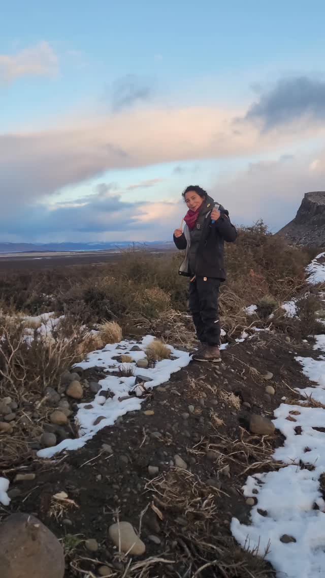 Rastro fresco de puma 🐾
Esta semana, nuestro equipo de trackers encontró fecas frescas de puma en terreno. Puede parecer algo simple, pero es un hallazgo muy especial: en todo un año, solo hemos encontrado rastros tan recientes seis veces.
¿Por qué es tan importante?
🔍 Las fecas frescas nos permiten obtener valiosa información genética y dietaria del animal.
📍 También nos dicen que el puma estuvo muy cerca, y posiblemente aún esté en la zona.
🧬 Esto ayuda a nuestros estudios científicos, a conocer su estado de salud y entender mejor sus hábitos.
En este paisaje inmenso y salvaje, encontrar señales recientes de un puma es un recordatorio de que la vida silvestre sigue activa y presente, y que nuestro trabajo de conservación y monitoreo constante es clave para protegerlos.
🎥 @solsabell @el_tom___
📍 @estancia.cerroguido
@fauna_australis @fjallravenofficial
#CerroGuidoConservación #Coexistencia