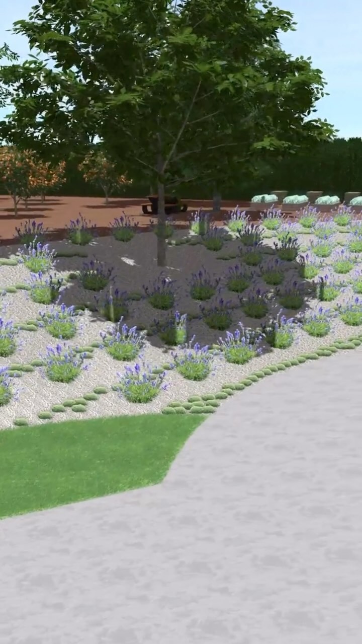 Over the years, Iāve had to cater to some interesting pets and wildlife while designing landscapes. Iāve designed a tortoise exhibit, Iāve included bat houses in a local design, Iāve designed a cat friendly āplay yardā, etc. This design is for the bees! The client is a beekeeper and wanted to make her yard more ideal for her honey bees so they can thrive and produce more honey. The client has a large hillside currently covered in periwinkle vine, which blooms for only a small period of time, making it not the most ideal plant to cater to bees. They came to me with an idea they saw in an Instagram reel where someone had converted a sloped grass lawn space into rows of lavender and grass. I applied this concept to the clientās hillside but instead of using grass between lavender, I proposed thyme. Both lavender and thyme bloom aggressively throughout most of the year in our climate and are favored by bees. Theyāre also both very drought tolerant and sun loving, perfect for our SoCal climate. Not to mention they both smell amazing to humans AND bees. A clean dressing of small white pebbles will provide contrast with the plants making them pop.
While I typically go for a more natural landscape style, Iām loving these clean rows that go with the natural topography of the hillside. What do you think?
Also, I wonder how the taste of honey will change once the bees are harvesting most of their pollen from thyme and lavender plants. I guess time will tell!
#landscapedesign #landscape #landscaping #landscapearchitecture #gardendesign #garden #beekeeping #remotelandscapedesign #savethebees #outdoorliving #gardening #nature #remotelandscapedesigner #plants #lavender #landscapedesigner #construction #backyard #exteriordesign #lavenderfarm #landscapelovers #lawncare #hardscape #beekeeper #landscapearchitect #gardens #californialandscapedesign #gardeninspiration #flowers #outdoordesign