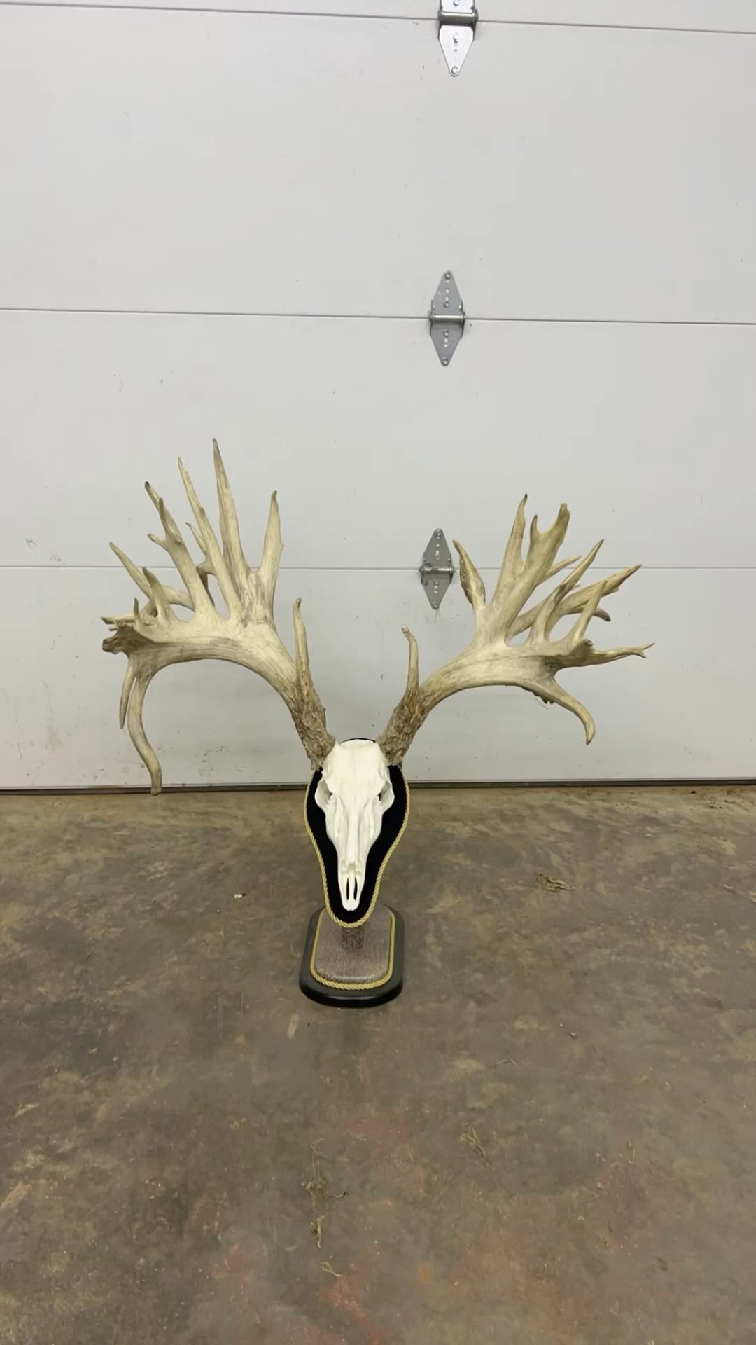 Who wants to hunt a buck just like this????
Message us to book that hunt you have been dreaming about!!#bigbuck#rackcity#hunt