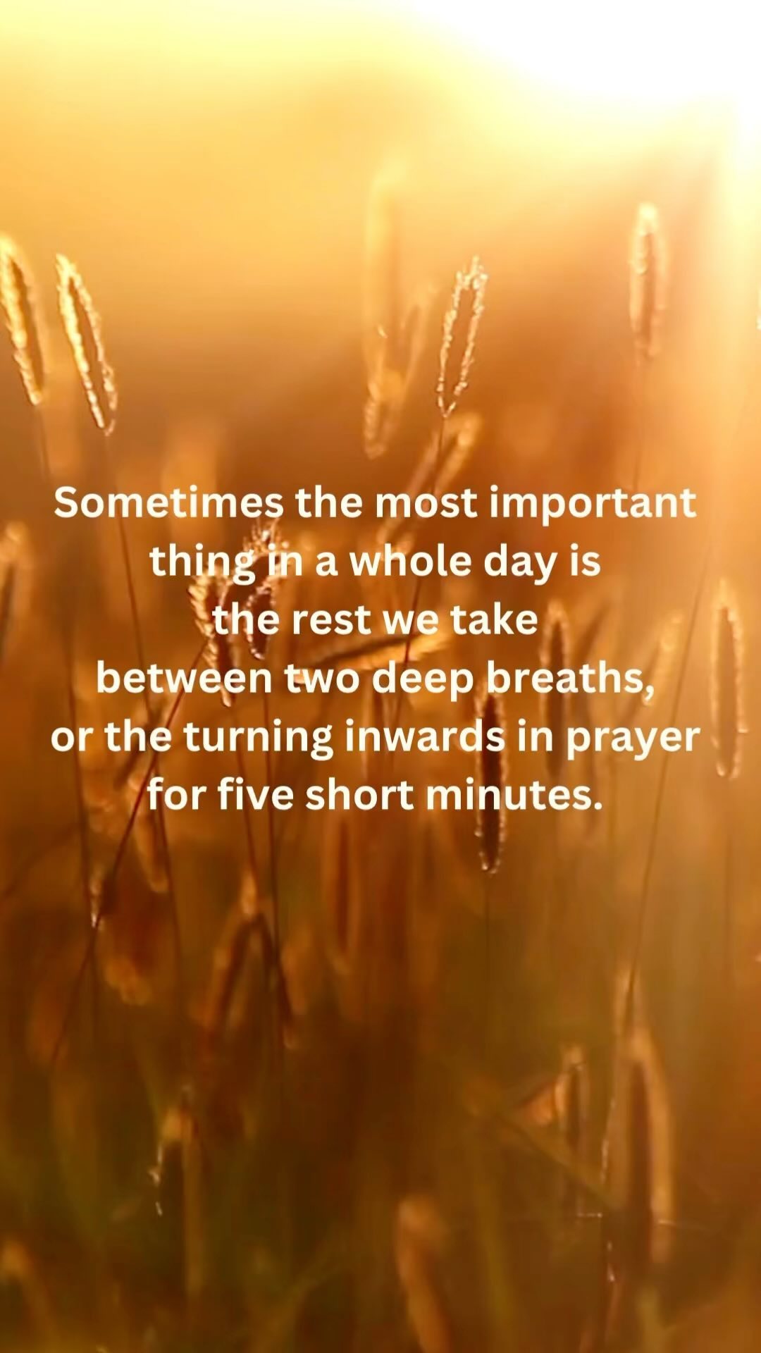 Words that have resonated with me today as I explore ‘ahimsa’ in my yoga classes. #ahimsa #yama #peace #love