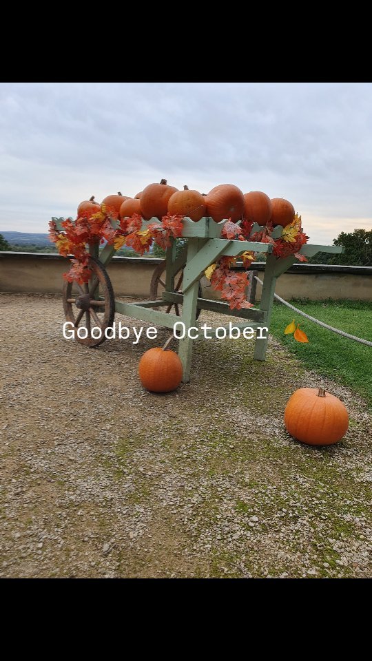 October went by so fast.. right? Travels, new adventures, concerts and cheeky cats. Falling leaves and good music. How would you sum up last month for you?
๐๐๐