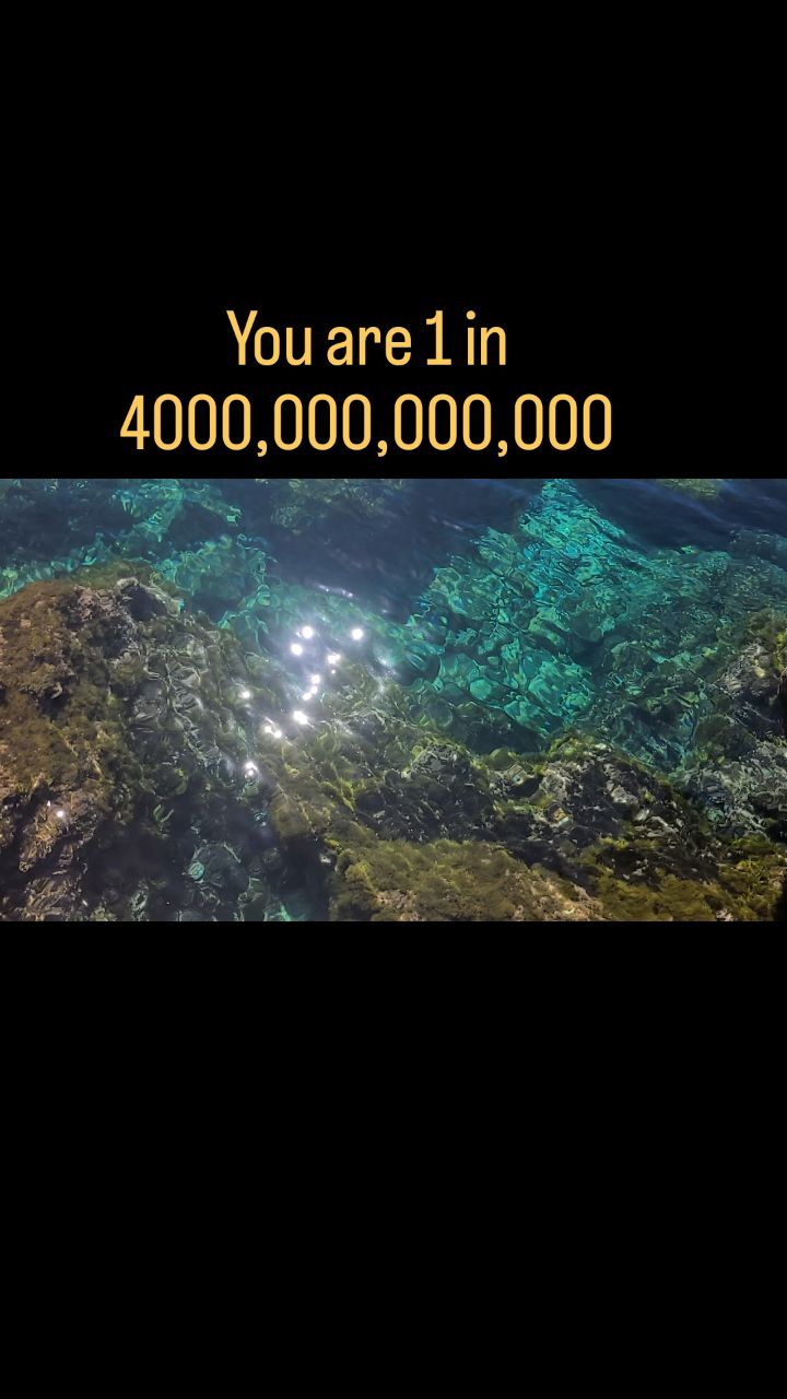 Scientists have calculated that the odds of you being born are 1 in 4 trillion.
And yet, with those incredibly low odds, you are here.
In each moment
like the transient nature of water
like sparkles of light
You have the opportunity to be
who you are.
#decolonizebreath
#selfcare
#coherence
#Asian
#browngirlsbreathe
#waterwisdom