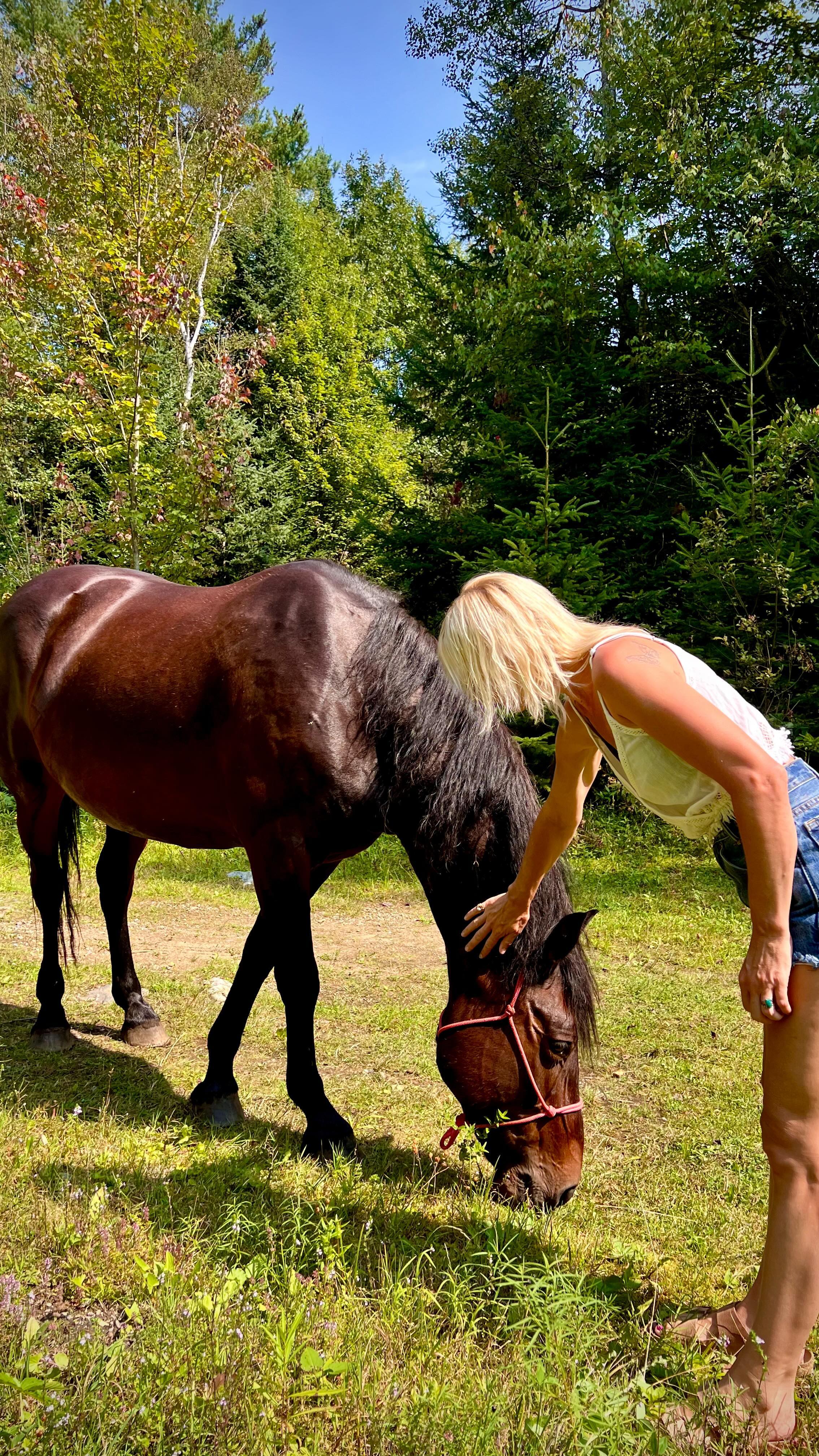 Part une
How I spent my last day of my 40’s…in my born country, in the beauty of nature, with the sweetest animals & the best humans.
I don’t take one day I am given in this life for granted.
Floating into my 50’s & I’m here for it all 🙏🏻💚
.
.
.
.
.
.
.
.
.
.
.
.
.
#BirthdayInNature #WakefieldAdventures #CanadianNature #WakefieldWonders #NatureLovers #BirthdayVibes #ExploreCanada #NatureEscape #BirthdayInTheWild #CelebrateOutdoors #WakefieldCanada #NatureBirthday #WildAndFree #CanadianBeauty #BirthdayBliss