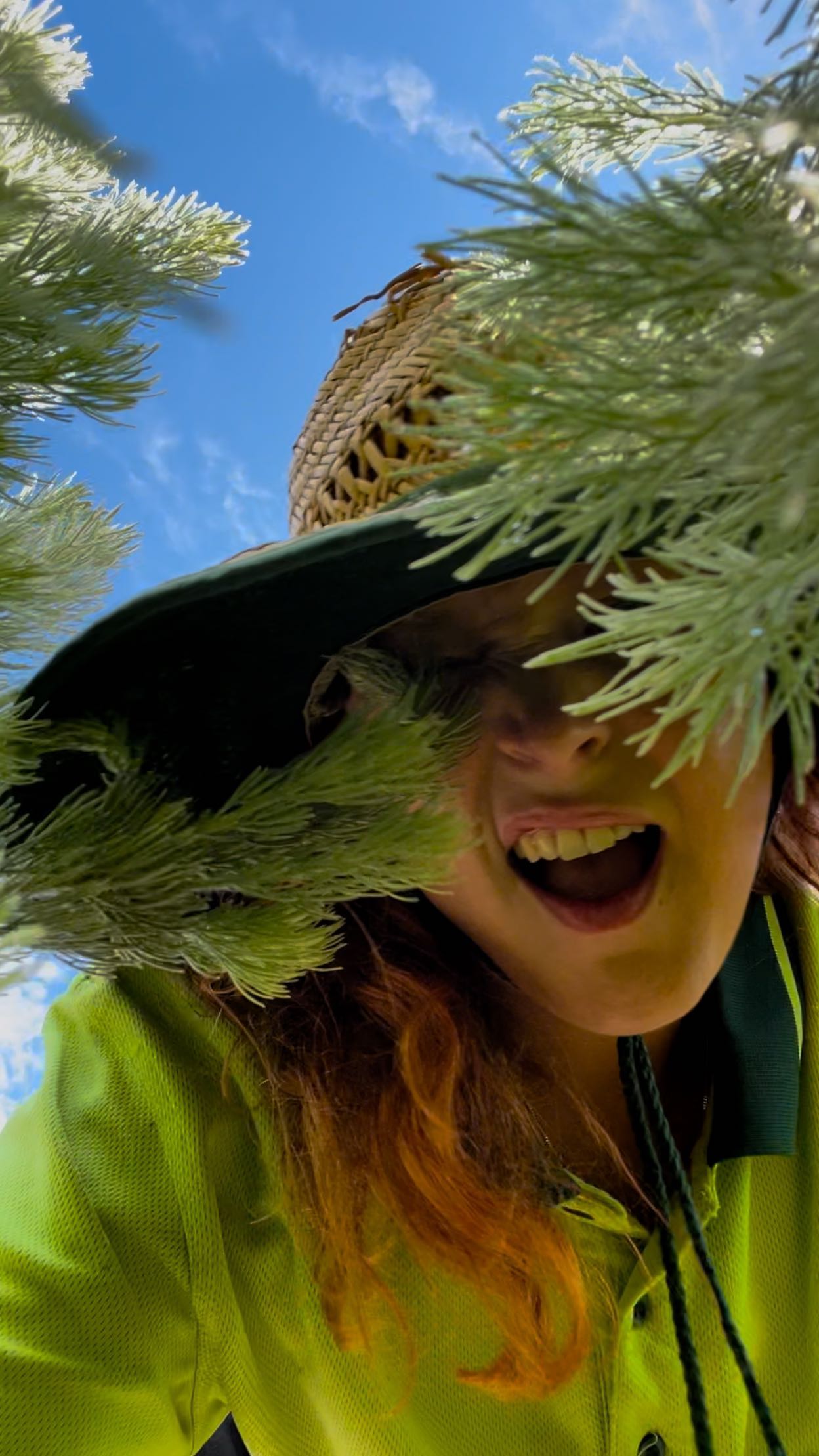 POV: You’re a delicious looking Woolly Bush being picked up for our orders getting sent out across the country! 🌿💚
What’s a Woolly Bush?! It is a shrub native to the coast of Western Australia and its botanical name is Adenanthos sericeus👇
FEATURES: Small red flowers, attractive to birds, are produced year-round with a peak in Spring in Summer.
CONDITIONS: Provides a lovely contrast in waterwise gardens, native gardens and mixed shrub borders.
FOR BEST RESULTS: Prefers very well drained soil.
Tolerant of sandy and gravelly soils, dry conditions, frost and coastal conditions. Trim lightly after flowering if required.
.
.
.
#wholesaleplants #landscaping #australianlandscaping #gardensupplies #plantnursery #plantmark #australianlandscape