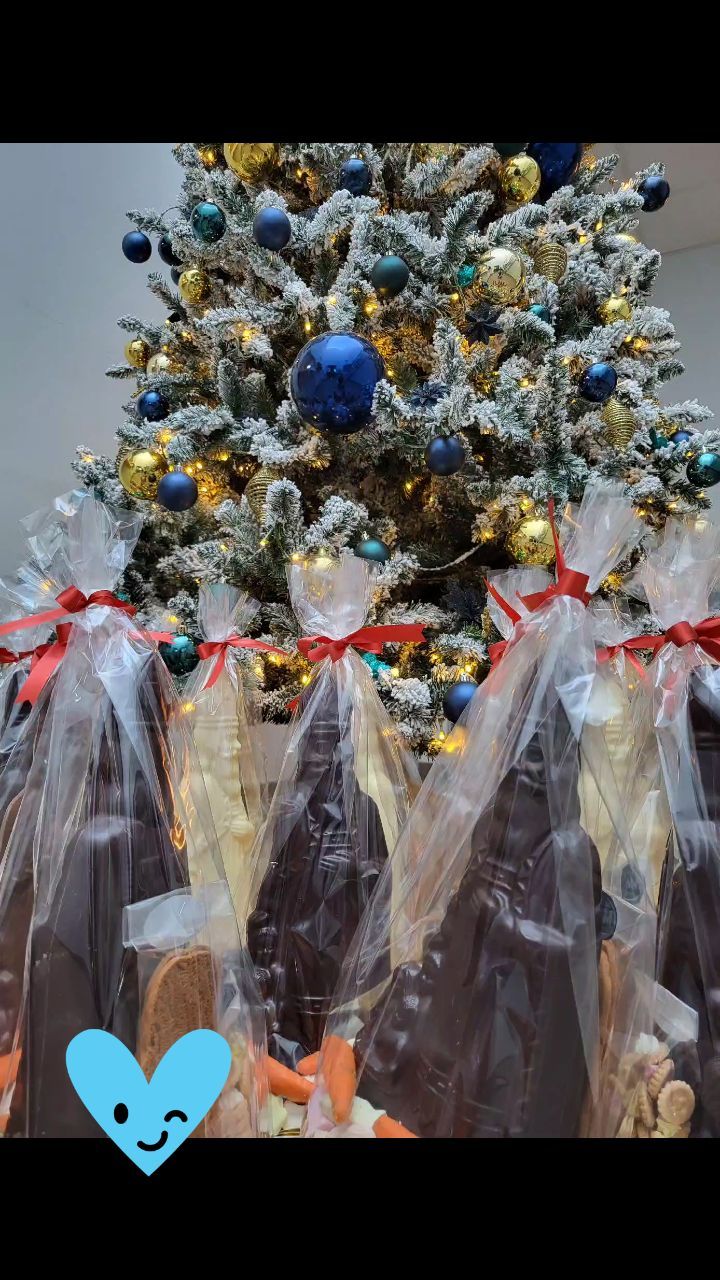 Sinterklaas moet vannacht even in de war geweest zijn🤔🎄! Waar zet ik nu mijn cadeautjes 🎀🎁 neer? Maar de Sint heeft toch een kleinigheidje achtergelaten voor alle brave kapoenen bij @de_mol_grondwerken_ en @demolrecycling #stealingthunderofsantaclaus #sinterklaas #allemaalbraafgeweest #teamdemol #chocolade #cadeautjes #santaclaus #christmastree #holidayseason #sinterklaaskapoentje #sinterklaas2023