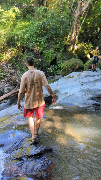 ¡Descubre los rincones más lindos de Costa Rica 🇨🇷 !
Discover the most beautiful spots Costa Rica 🇨🇷 has to offer!
At @mangiferahostel we give you the best insider tips to enjoy these breathtaking off the beaten path destinations ❤️🌿
En Mangífera Hostel, te damos los mejores consejos para disfrutar estas destinaciones fuera del camino corriente ❤️🌿
#mangiferahostel #travelcostarica #travelgram #costarica #costaricacool #travel #waterfalls #beach #beachlife #wildlife #animales #animallovers #crocodile #monkey #hostellife #hostelsoftheworld #hostelcostarica