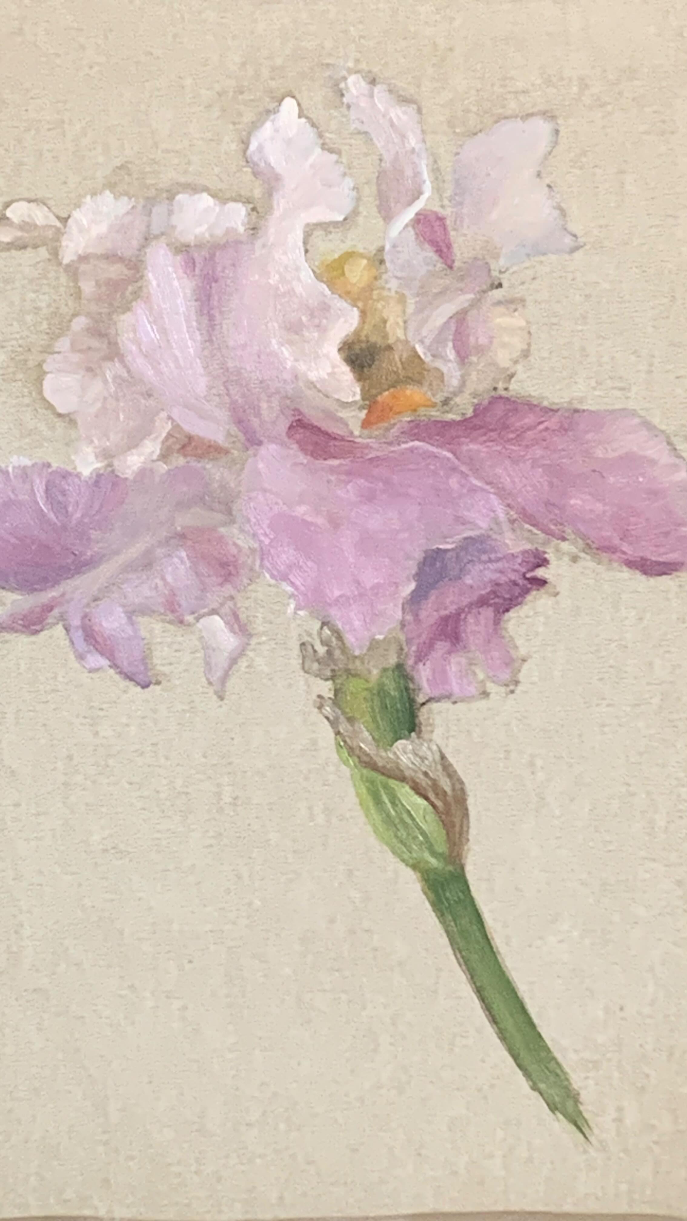 This iris plant is tucked away where it doesn’t get as much sun as it needs but it is still blooming… and WOW what blooms! Hard to describe the iridescent petals and subtle colors of this one. And the edges of the petals are ragged and lacy! So pretty! I worked so hard to just get this first pass even close. I know I could work on this one for hours and hours more.
#irisflower #irisgarden #oilpainting #emergingartists #artcollector #flowerpaintings #contemporaryartists