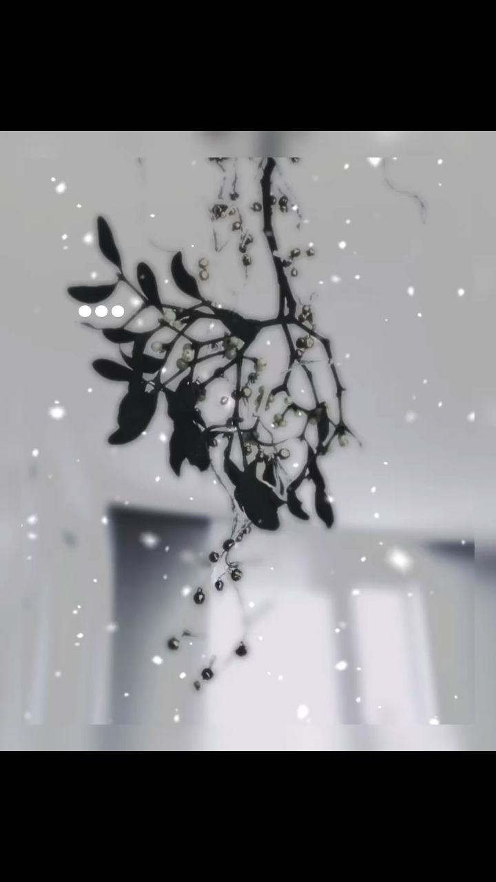 Mein Motto für 2024: "Ziele nach dem Mond. Selbst wenn Du ihn verfehlst, wirst Du zwischen den Sternen landen" - Nietzsche ✨
Dankbar blicke ich auf ein Jahr voller Veränderungen zurück, Veränderungen, für die ich viel Mut aufbringen musste. Einen Mut, den ich ohne die bedingungslose Unterstützung meiner Familie und Freunde womöglich nicht aufgebracht hätte. Ich bin dankbar für jeden Einzelnen von Euch! Wahrlich glücklich schätzen kann sich ein jeder, der sich Eurer Liebe und Eurer Freundschaft gewiss ist.
Dankbar blicke ich auf ein Jahr voller Veränderungen zurück, Veränderungen, die mein Leben um ein Vielfaches bereichert haben.
Voller Vorfreude blicke ich dem neuen Jahr entgegen und wünsche einem jedem, der das liest die Kraft, den Mut, den Rückhalt und die Leidenschaft sich all die Träume zu erfüllen, die das Herz bewegen.
Fühlt Euch gedrückt, Eure Alina 🤍✨