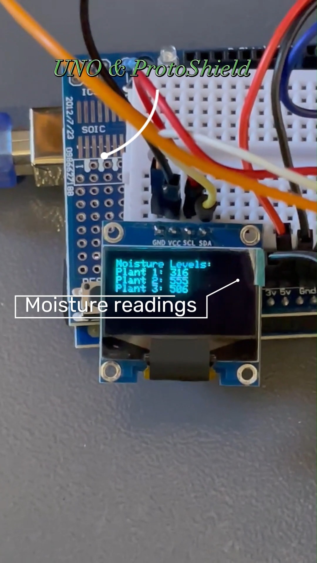 Nathan's crafted a brilliant eco-watering setup—recycling turtle tank water to quench three plants. 🌿🐢 It's all Arduino-powered, with sensors and pumps that smartly hydrate when needed, plus a cool OLED for live stats. A built-in cooldown ensures each plant gets just the right amount. 🚿🌱 Big shoutout to Nathan for this sustainable tech! #HarukiRoboticsLab
