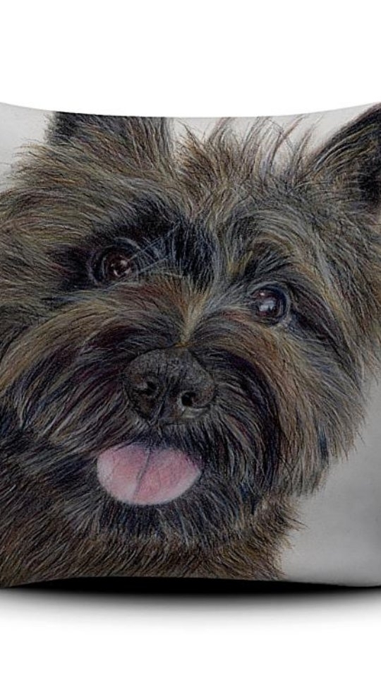 My art displayed on cushions from the wraptious competition. Like and share.
#wraptiouscompetition #robin #wraptious #cairnterrier #jackrussellterrier