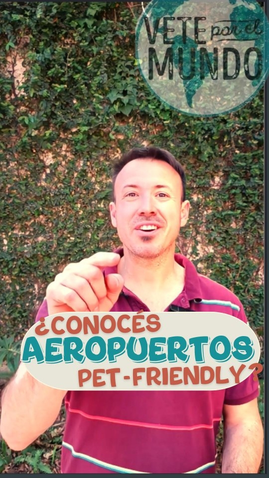 🥰Viajar con mascotas está dejando de ser un reto y ¡se está convirtiendo en una experiencia mucho más cómoda! 🐾✈️ Cada vez más aeropuertos se suman a la tendencia pet-friendly, creando áreas pensadas para nuestros compañeros de viaje.
🛬En aeropuertos como Ezeiza en Argentina, Benito Juárez en México, Lisboa, Londres, y Barcelona, nuestros amiguitos de 4 patas🐾 cuentan con espacios dedicados para descansar, jugar o simplemente relajarse antes o después del vuelo.
Contame a dónde viajás y te confirmo si el aeropuerto tiene espacio o no para tu mascota👇👇
#veteporelmundo #veterinarioporelmundo #aeropuerto #petfriendly #ezeiza #barcela #mexico #lisboa #londres #argentina