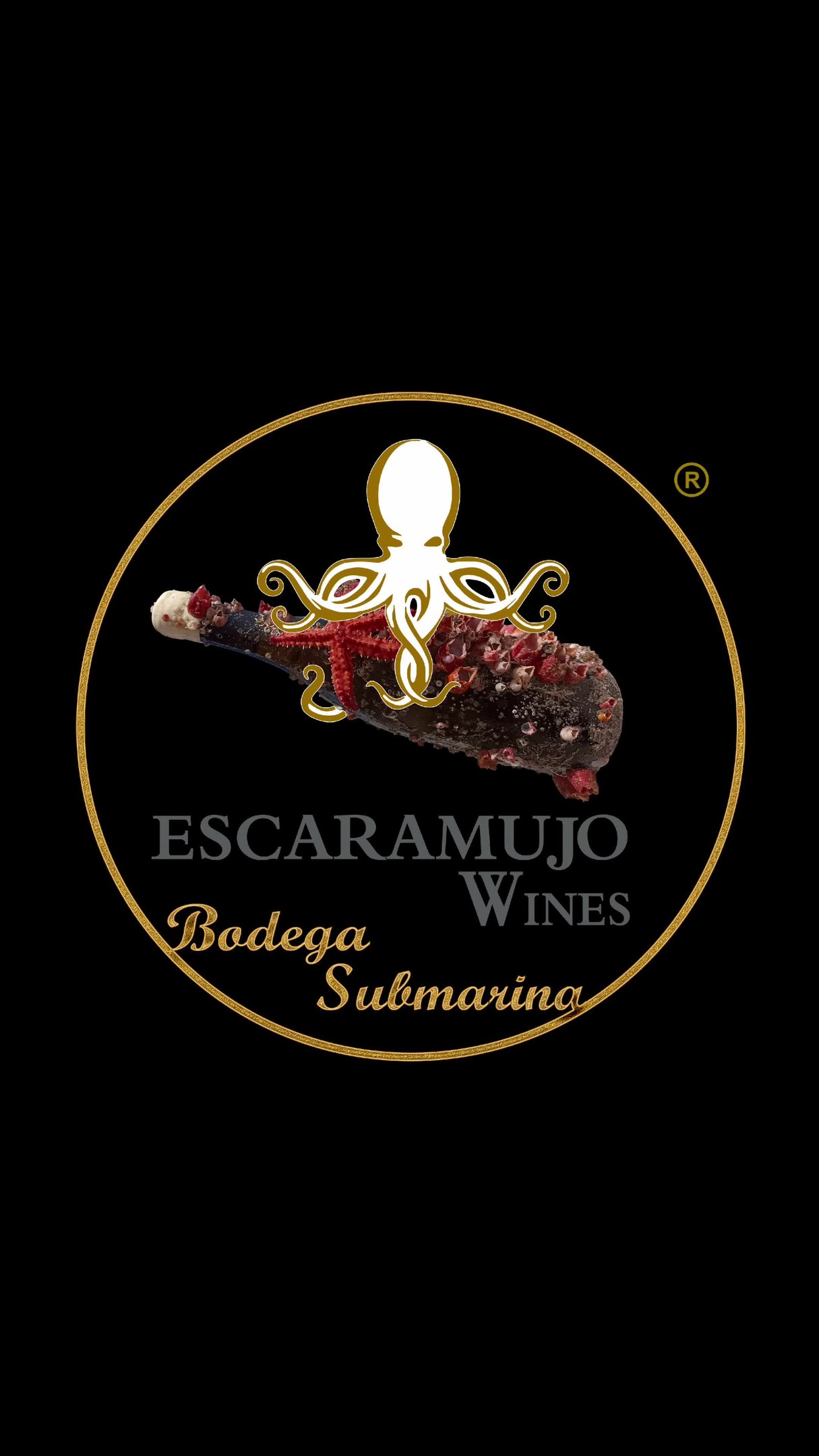 🌊🍷 New Look, Same Essence! 🍷🌊
Time, the sea, and passion have transformed us… and so has our logo! 💙
At Escaramujo Wines, we continue to age our wines in the depths of the ocean, allowing the currents and underwater magic to give them an unmatched character. Now, with a fresh new look that reflects our evolution, our essence remains the same: unique wines, born from the sea, to toast to the most special moments.
🌊 Dive into this new chapter with us.
🥂 Discover the flavor that only the ocean can create.
🔗 Order now and celebrate this new beginning with us.
.
.
.
🌊🍷 ¡Nueva imagen, misma esencia! 🍷🌊
El tiempo, el mar y la pasión nos han transformado… ¡y nuestro logo también! 💙
En Escaramujo Wines, seguimos madurando nuestros vinos en las profundidades del océano, permitiendo que las corrientes y la magia submarina les den ese carácter inigualable. Ahora, con una nueva imagen que refleja nuestra evolución, nuestra esencia sigue intacta: vinos únicos, nacidos del mar, para brindar por los momentos más especiales.
🌊 Sumérgete en esta nueva etapa con nosotros.
🥂 Descubre el sabor que solo el océano puede crear.
🔗 Haz tu pedido ahora y celebra con nosotros este nuevo comienzo.
#winefromthesea #underwatercellar #newlook #exclusivewines #uniquewines #OceanFlavors #perfectgift #winelover #cheerstogether