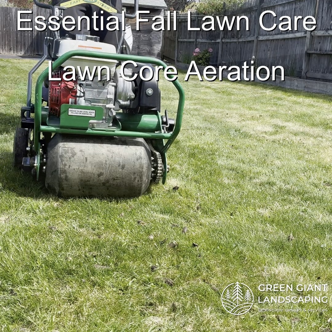 Essential Fall Lawn Care for a great lawn next year.
Landscaping Southeastern, MA.
Call now for your free quote!
Plants installation
Tree and shrub care
Seasonal cleanups
Bobcat services
Old overgrown shrubs removal
Mulch installation
Garden maintenance
Professional Landscape Design.
https://www.greengiantlandscaping.com/
Phone:
+1 413-406-9094
#landscaping #landscapedesign #gardening #gardendesign #landscaper #landscapearchitecture #treeandshrubtrimming #mulch #Massachusetts #southshore #newton #boston #hingham #marshfield #scituate #NewtonMA #scituatema #milton #canton #wellesleyma #SpringCleaning #shrubtrimming #shrubcare #plantingseason #plantingtrees #plantingdesign #gardentransformation
