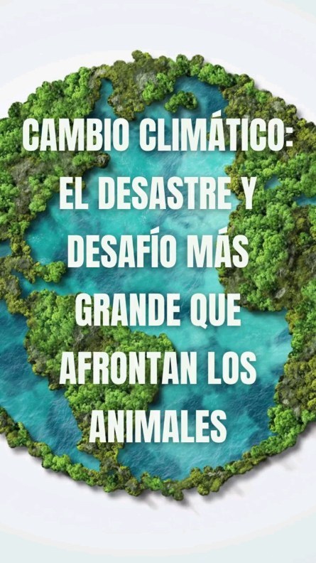 Probablemente el desafío más grande que navegan los animales no humanos es el impacto que generamos nosotros los humanos. Nuestra expansión, nuestras industrias, nuestra contaminación, nuestra depredacion 😬
.
Sin embargo, si todas las personas nos involucraramos más activamente en alguna de las múltiples maneras que existen para crear conciencia, presión y cambio tal vez nuestra realidad sería diferente. Ya sabes que pasa vuando no todxs nos involucramos, ¿por qué no probamos ahora algo diferente? 🤔
.
El cambio eres tú ✨💕
.
.
.
#animalesendesastres #iad #iadlatam #inclusionanimalendesastres #inclusionanimal #cuidadoanimal #ningunanimalsequedaatras #animal #animallovers #animals #amor #ayuda #proteccion #conservacion #educacion #desastres #desastresnaturales #latina #cambioclimatico #refugioanimal #santuarioanimal #caribe #petsofinstagram #plandemergencias #americalatina